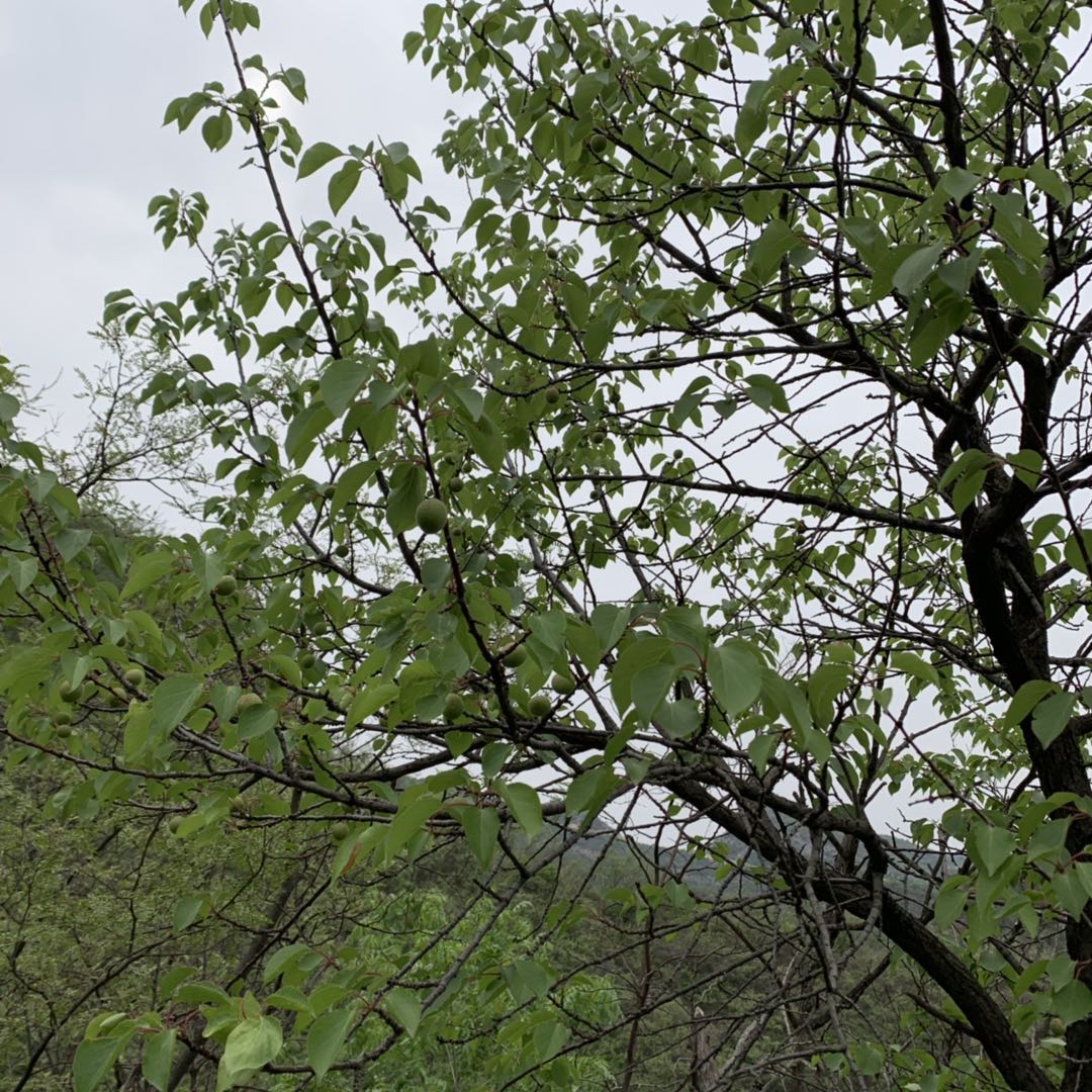 ����̿����ô���Ͱ�������(bi��o)�ģ�