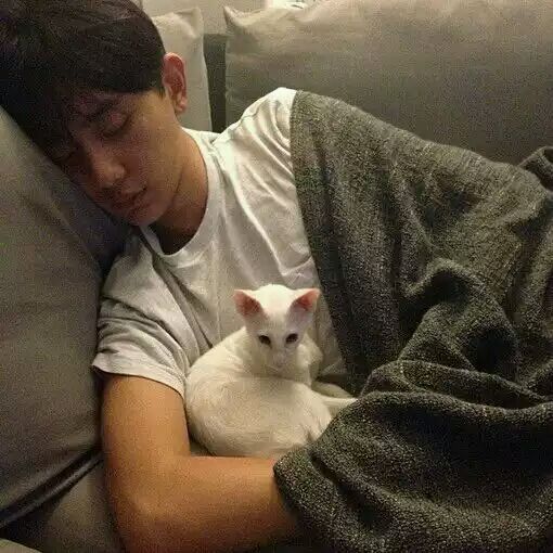 ʲô�ǳ���ȩ�������̿�أ��������ӵ���������