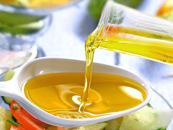 ����̿��ʳ����֬�е�����