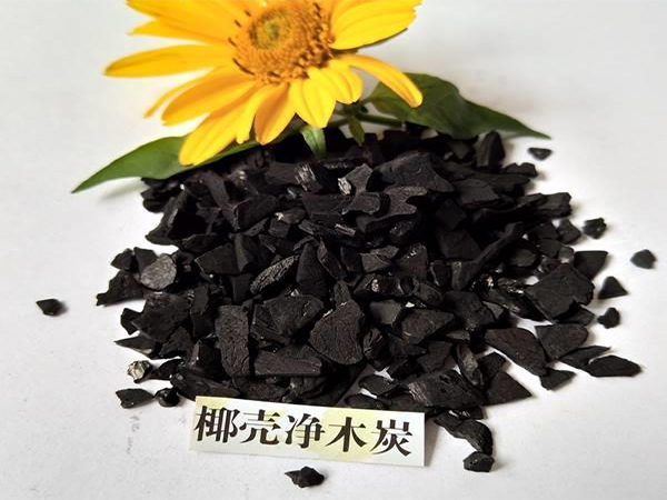 �្�����������ἰ�������л���̿������