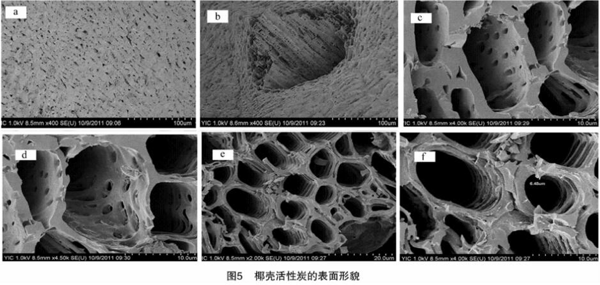 �}�����Ҭ������̿��(du��)�ױ�����������